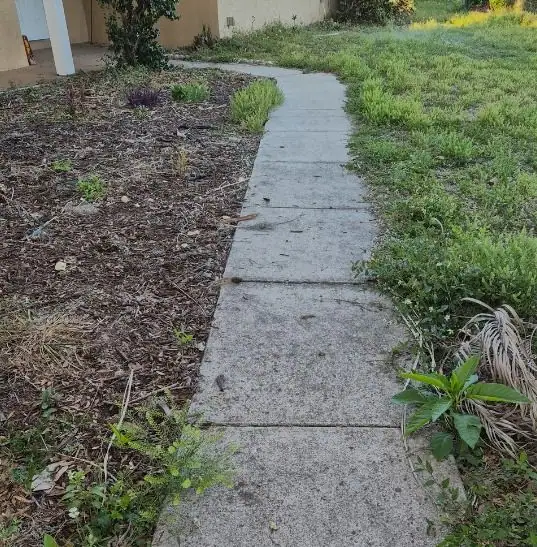 Before: a weedy walk and bed cleaned up and edged, a LoLo Lawncare job in the Tampa area