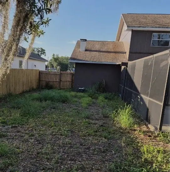 Before: a patchy backyard cut down to the fence line, a LoLo Lawncare job in the Tampa area