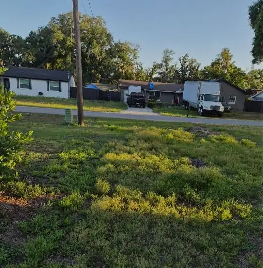 Before: a yard LoLo Lawncare worked on in the Tampa area