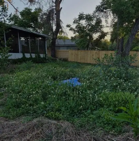 Before: a yard LoLo Lawncare worked on in the Tampa area