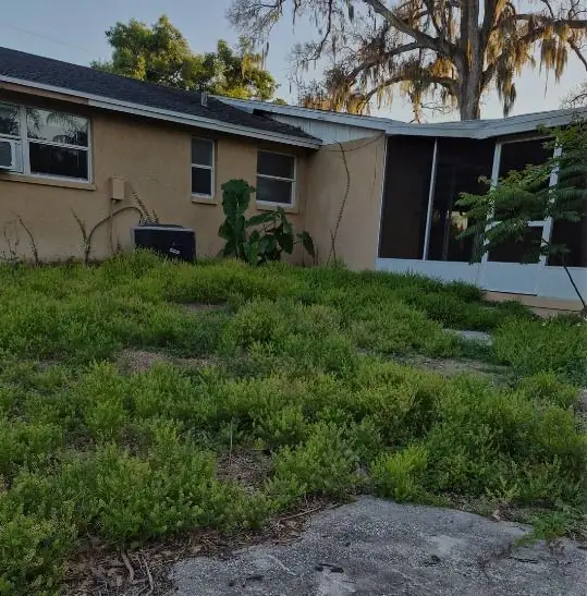 Before: a back lawn by the ac and screen room, cut and cleaned, a LoLo Lawncare job in the Tampa area