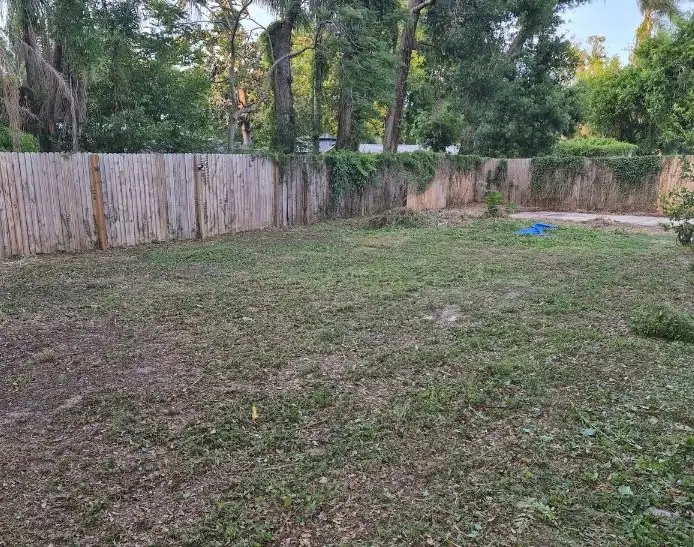 After: the same yard once LoLo Lawncare finished