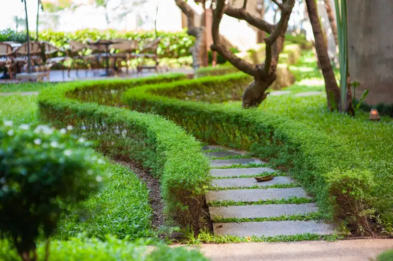 A curving clipped hedge and stepping-stone path through a green garden