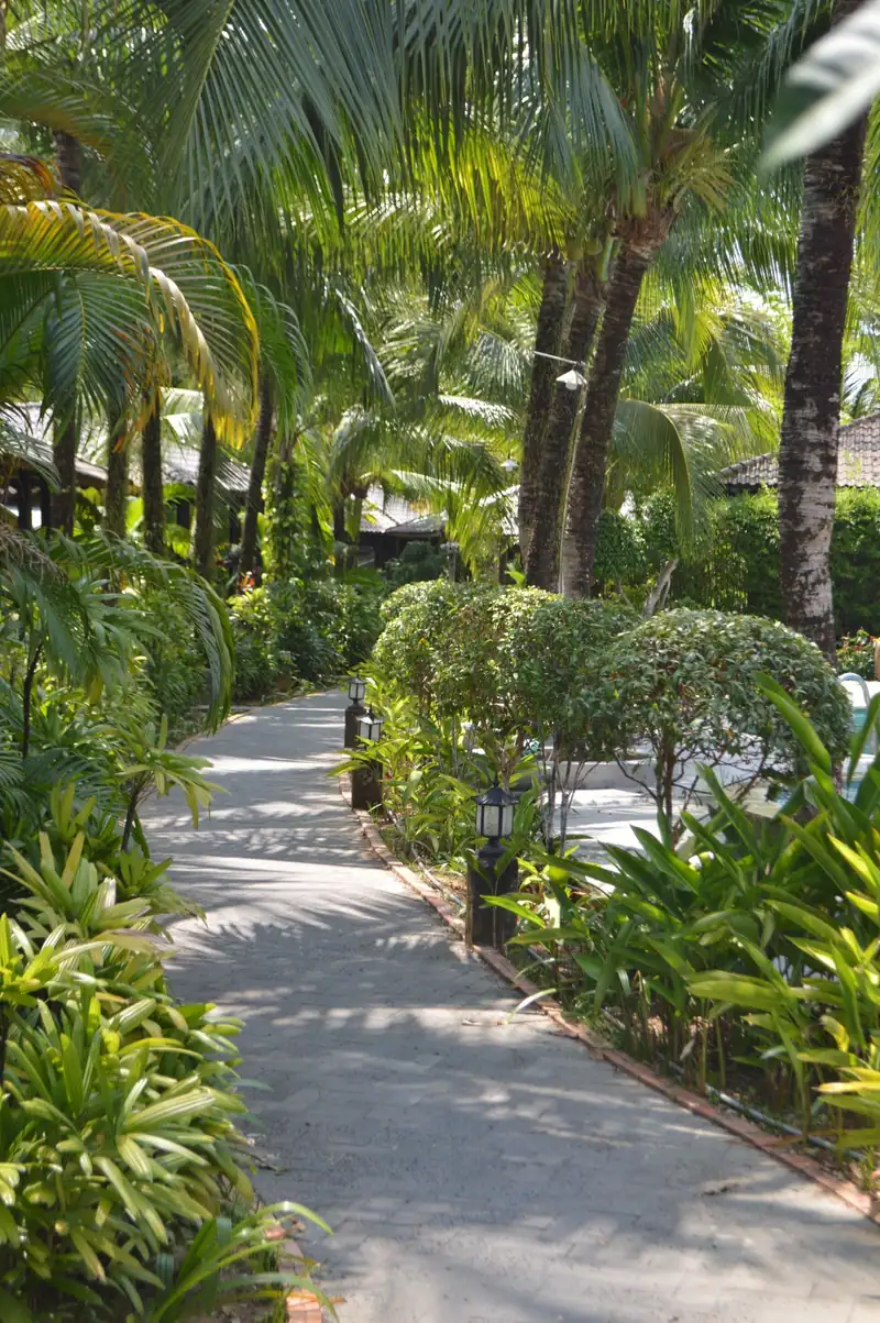 A curved garden path lined with palms and clipped shrubs