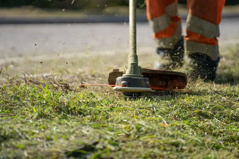 A string trimmer cutting a clean edge along a curb