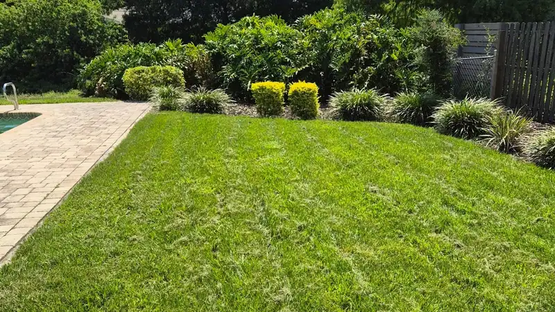 A freshly mowed lawn beside a pool deck and shrub bed in the Tampa area