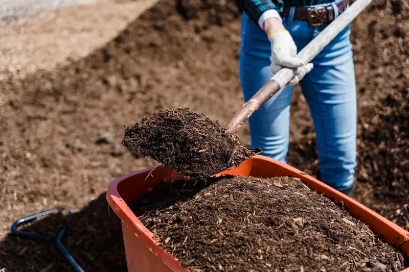 A shovel of dark mulch going into a tub for a bed refresh
