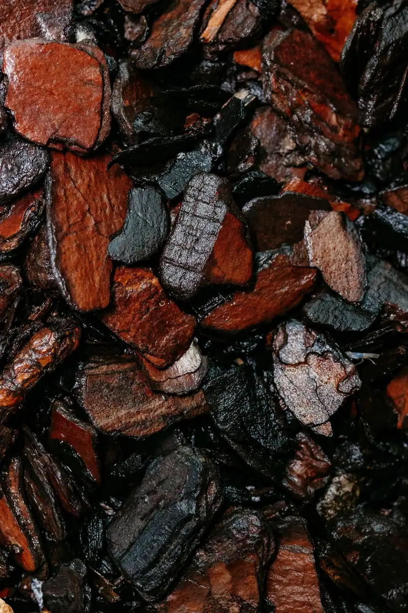 Close-up of pine bark mulch
