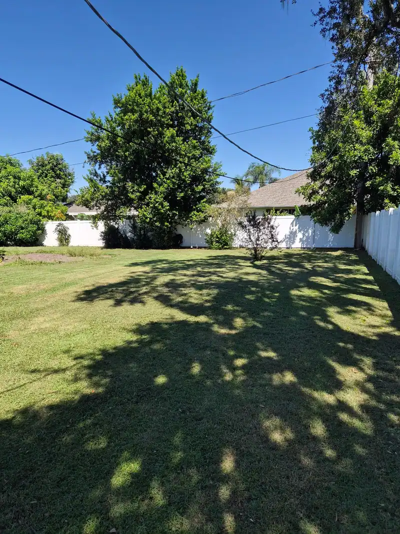A mowed backyard with tree shade, a LoLo Lawncare job in the Tampa Bay area
