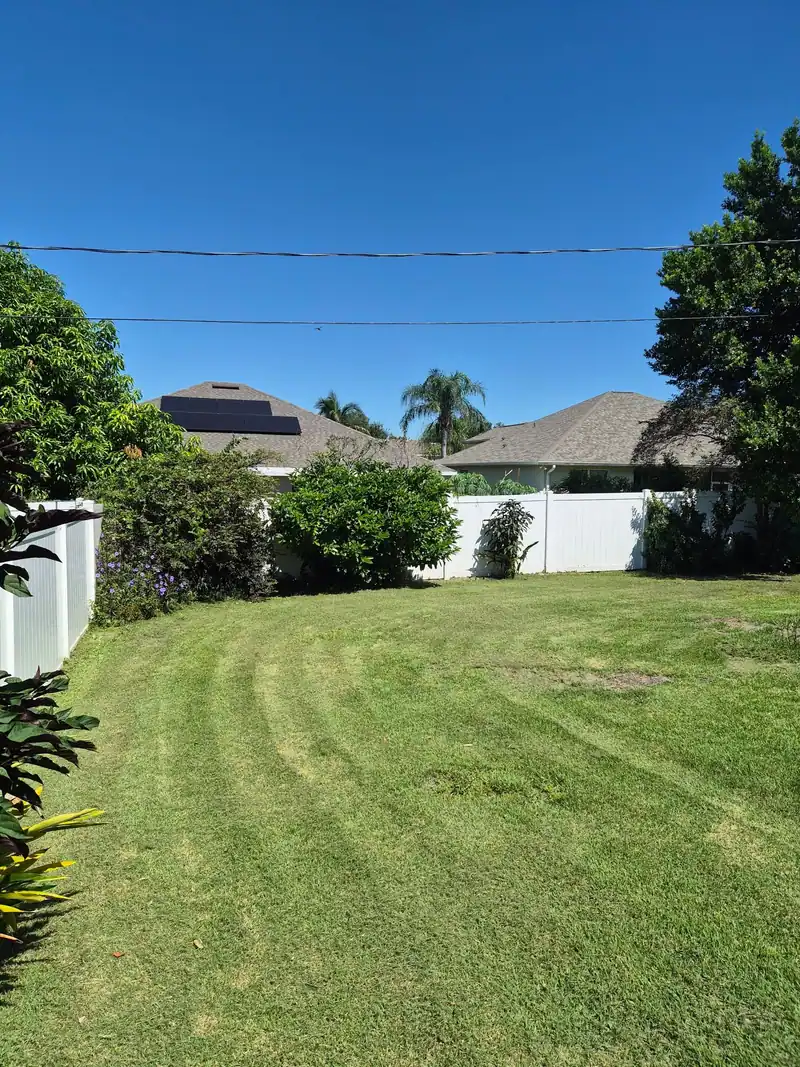 Fresh mowing stripes in a fenced Tampa-area backyard, cut by LoLo Lawncare