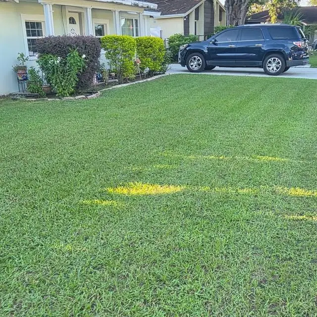 A striped front lawn by a stucco home, kept by LoLo Lawncare