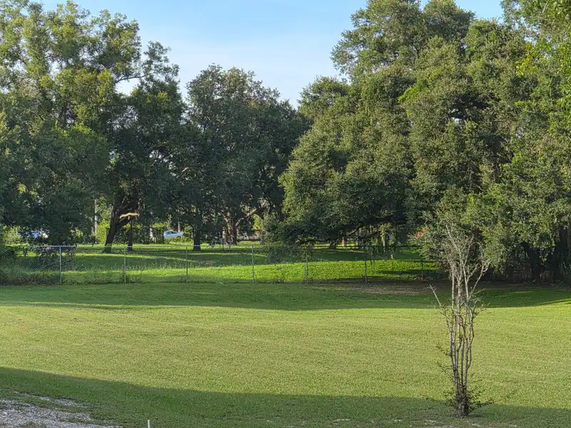 A cut lawn under tall oaks, a LoLo Lawncare job in the Tampa Bay area