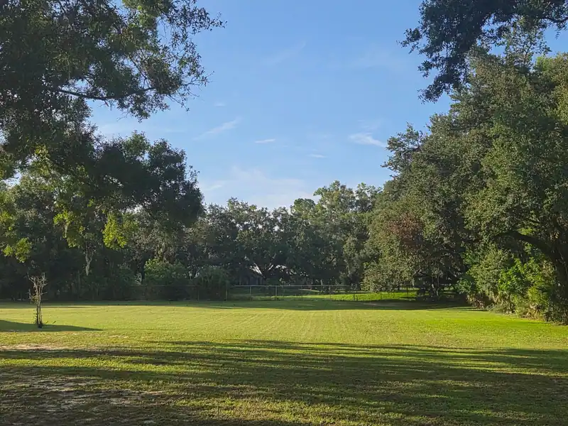 Mow lines across a big lawn under oaks, a LoLo Lawncare job in the Tampa Bay area