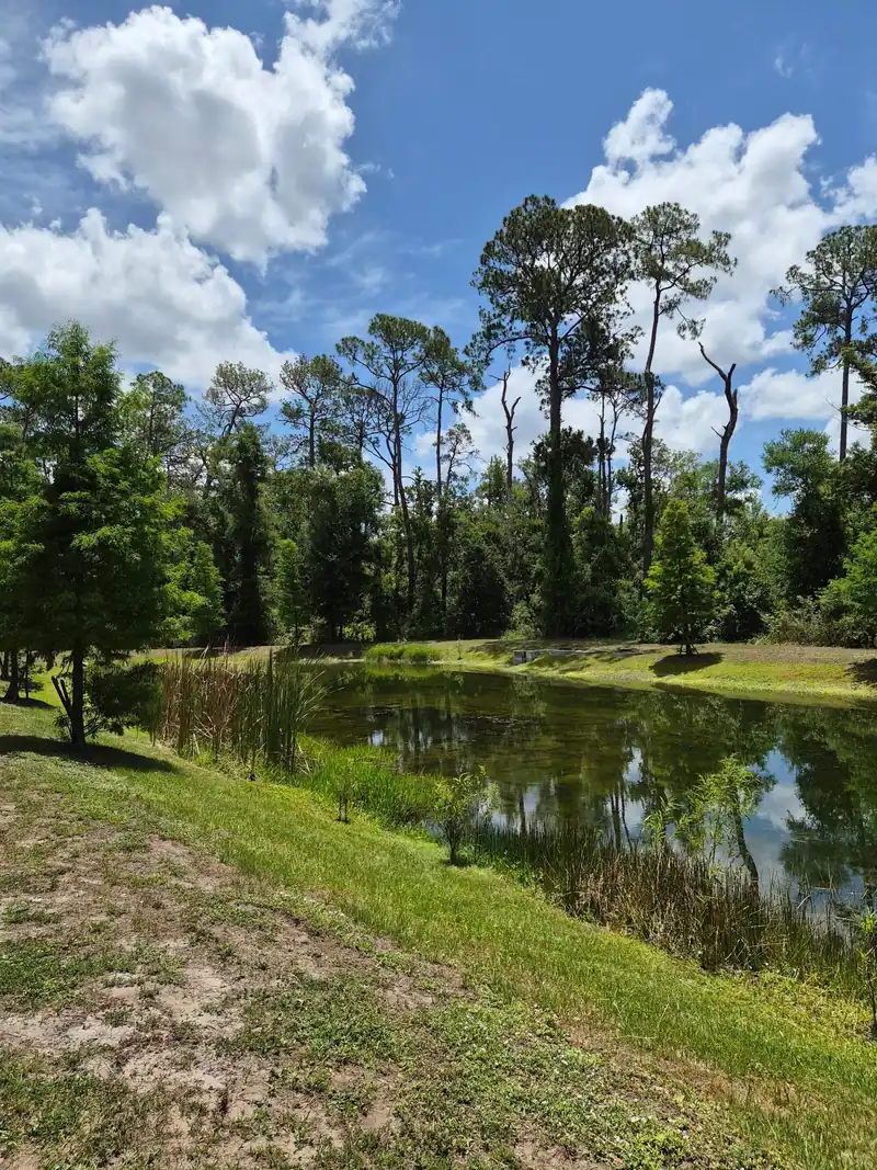 A lawn mowed down to the edge of a pond, a LoLo Lawncare job in the Tampa Bay area