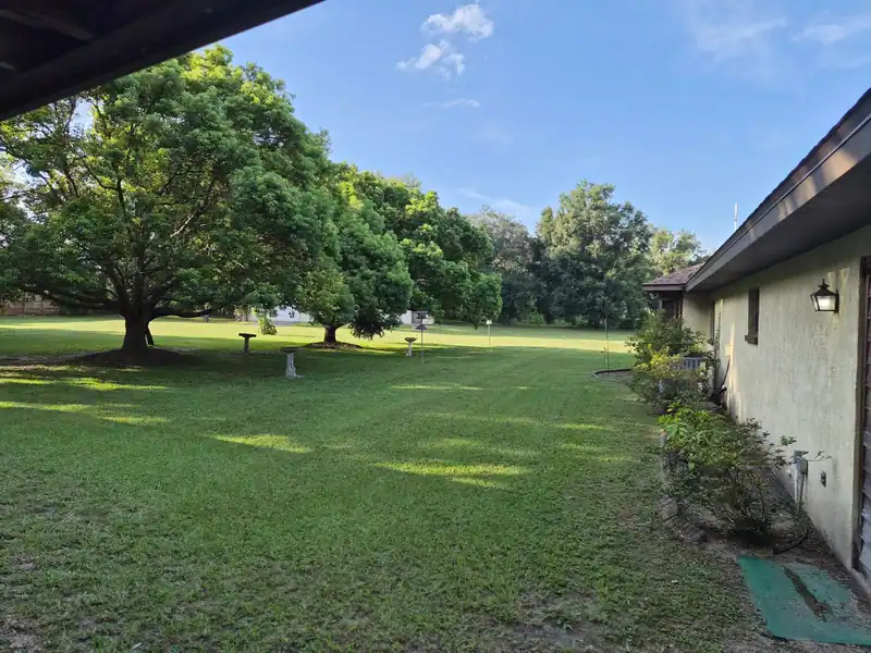 A long, healthy side lawn beside a house, mowed by LoLo Lawncare