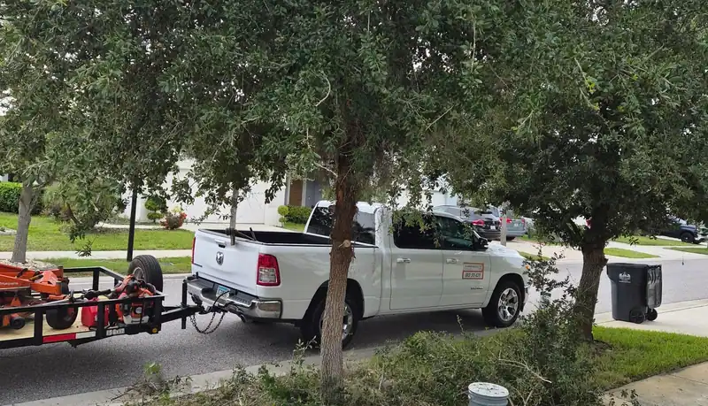 The LoLo Lawncare truck and trailer at a curbside tree trim and yard cleanup