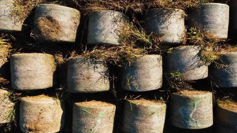 Rolls of sod stacked and ready to lay