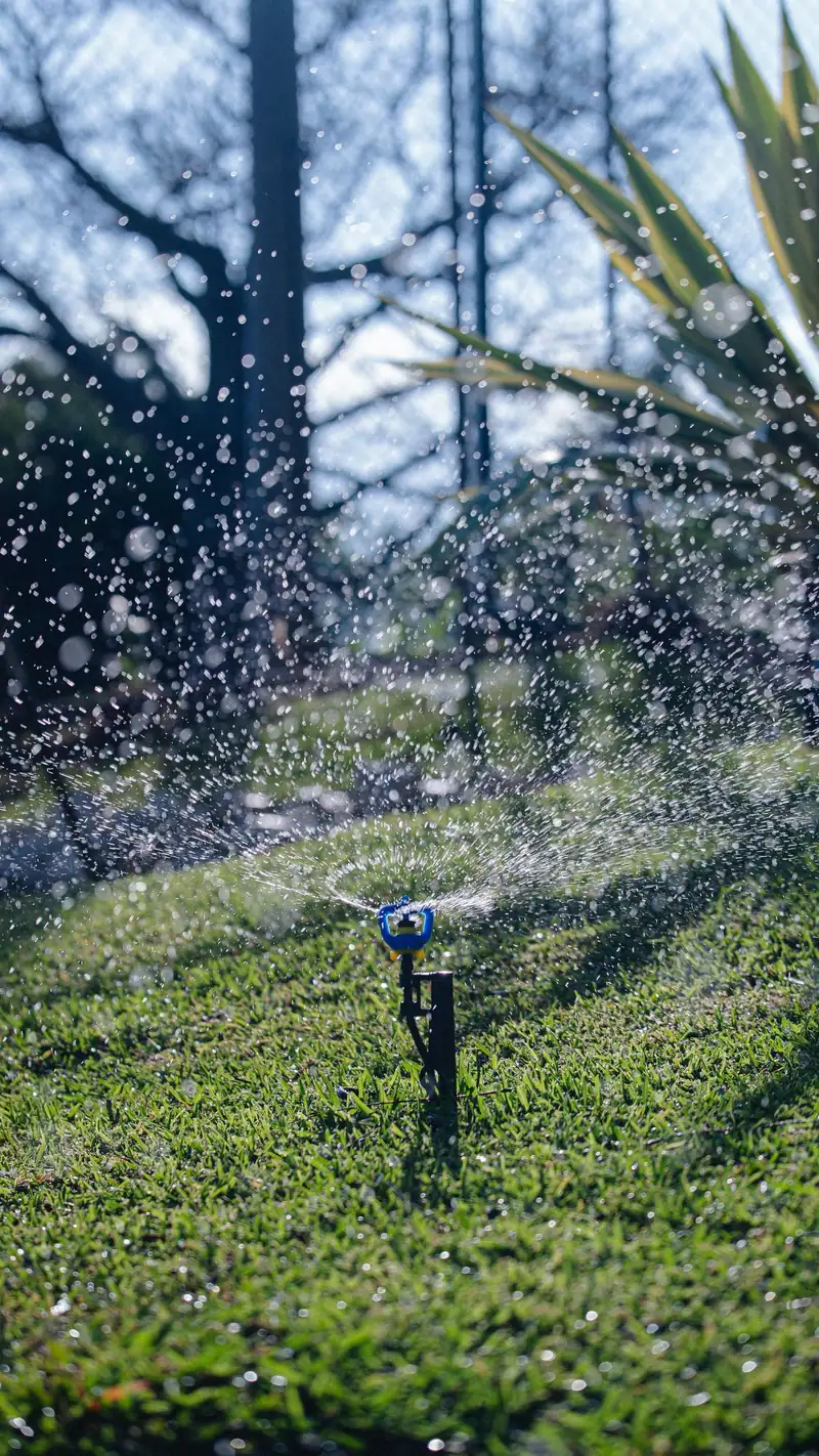 A rotor sprinkler spraying water across a lawn